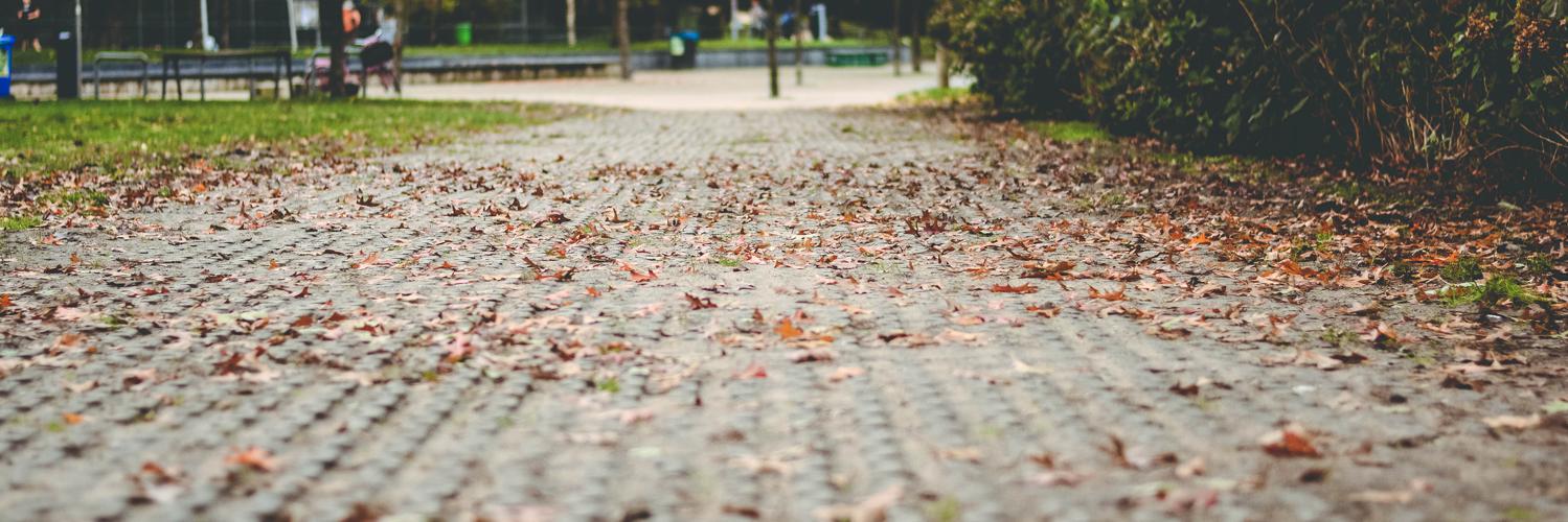 Kalina Dancheva banner