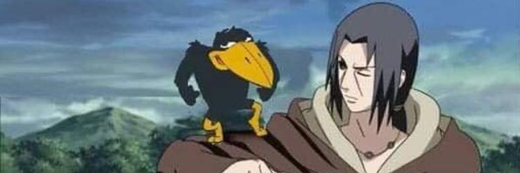 bferrazzz's profile banner image
