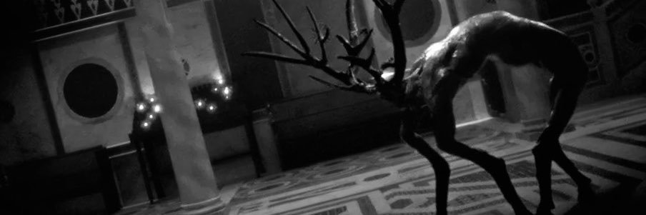 moramir_8's profile banner image