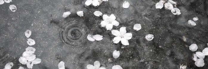 _mening's profile banner image