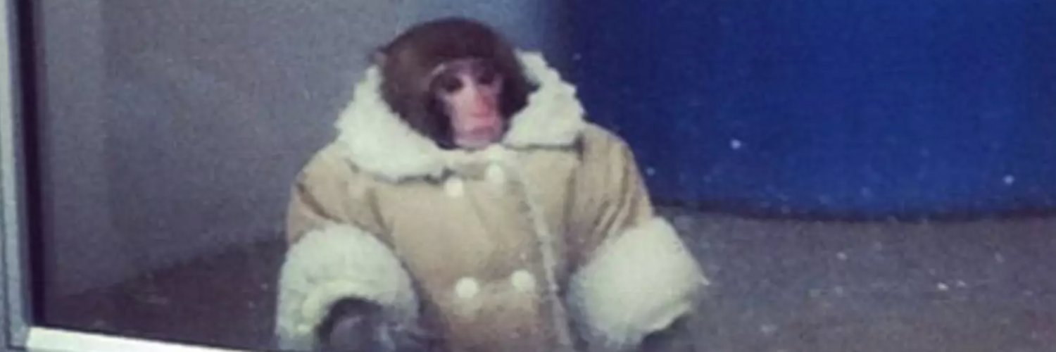 Mikey O'Connell banner