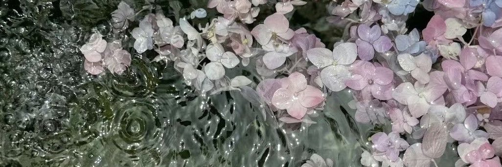 chernovcrystal's profile banner image