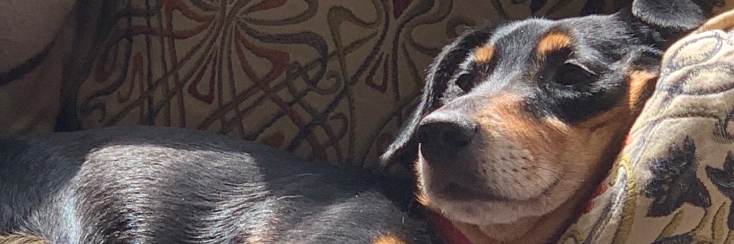 SamThePA's profile banner image