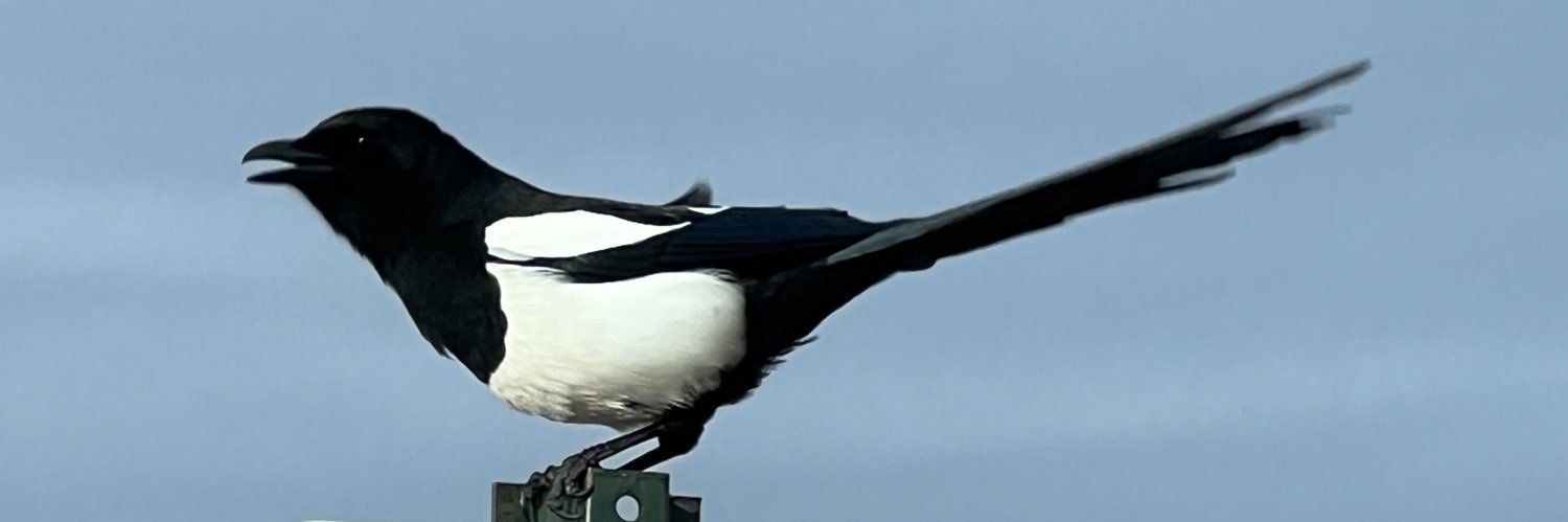 DrOverheadPhD's profile banner image