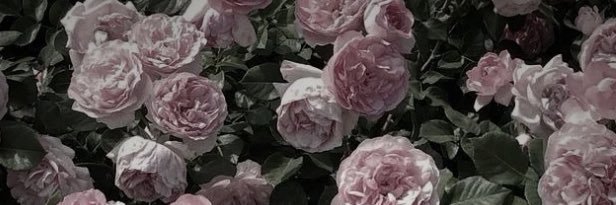 x_x2r's profile banner image