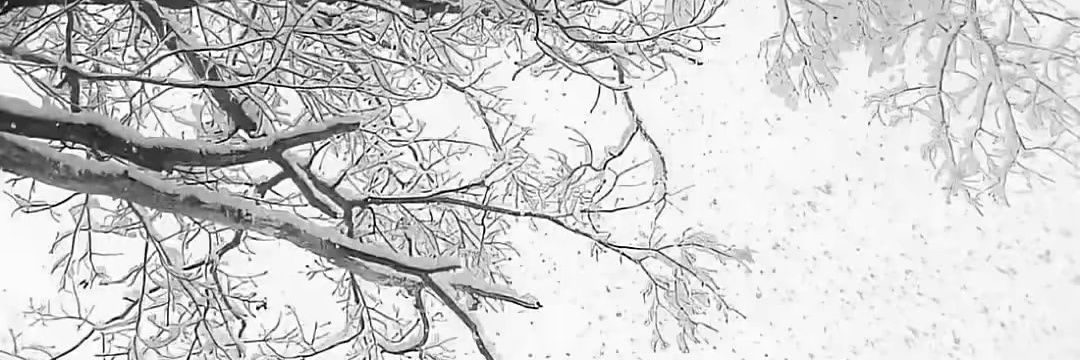 luoy7m7's profile banner image