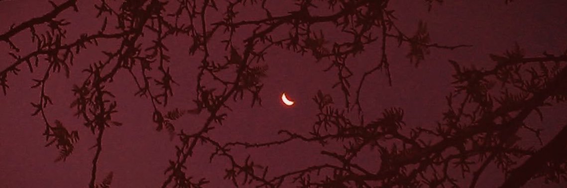 Rottensoll's profile banner image