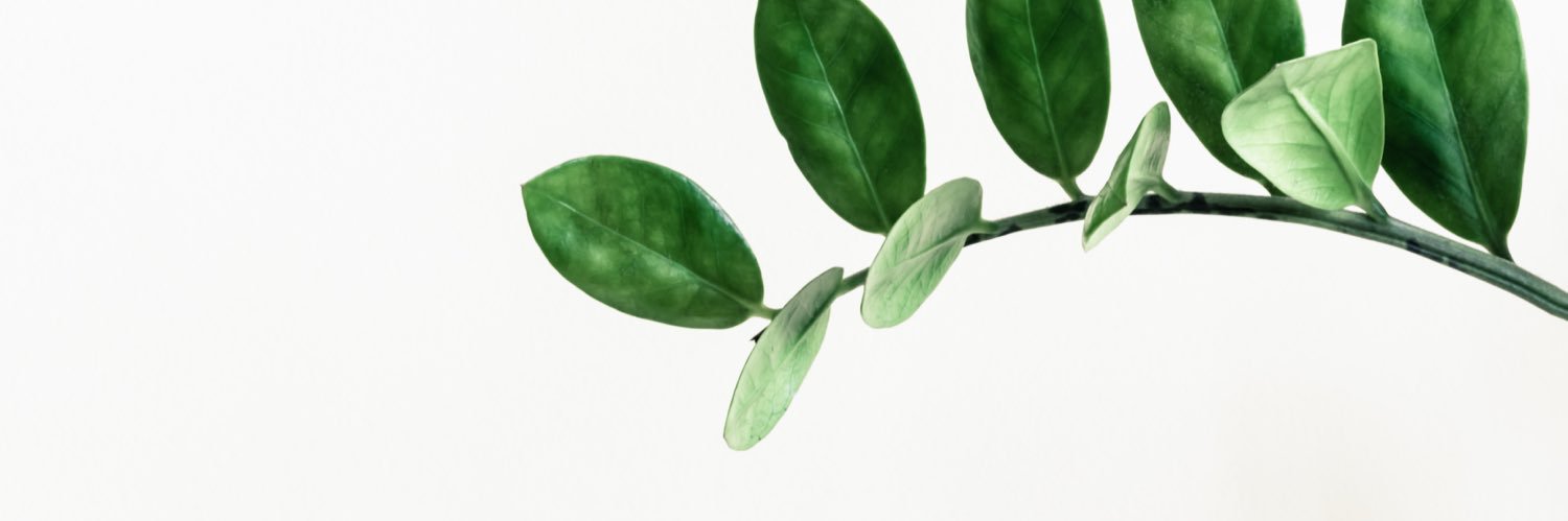 Amy Aixi Zhang banner