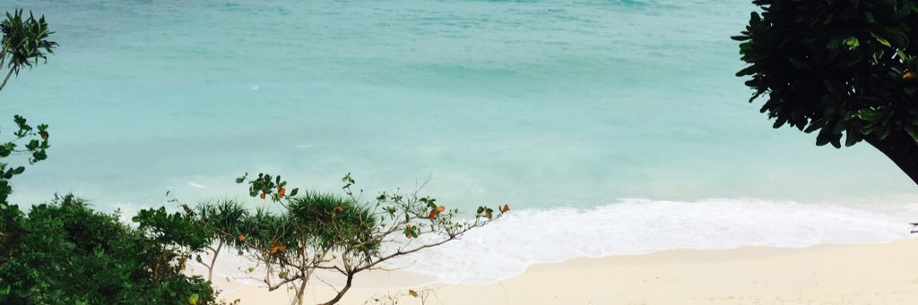 KamyGrey's profile banner image