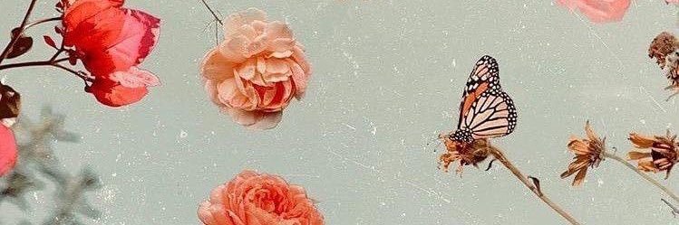 ☾laire banner