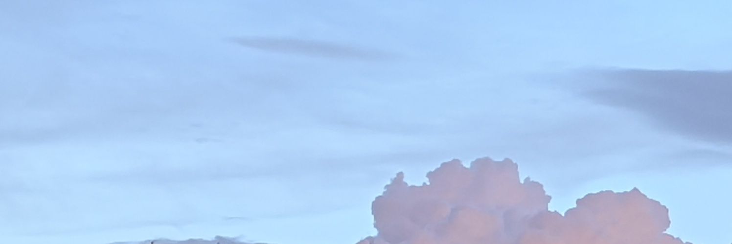 x0_vsz's profile banner image