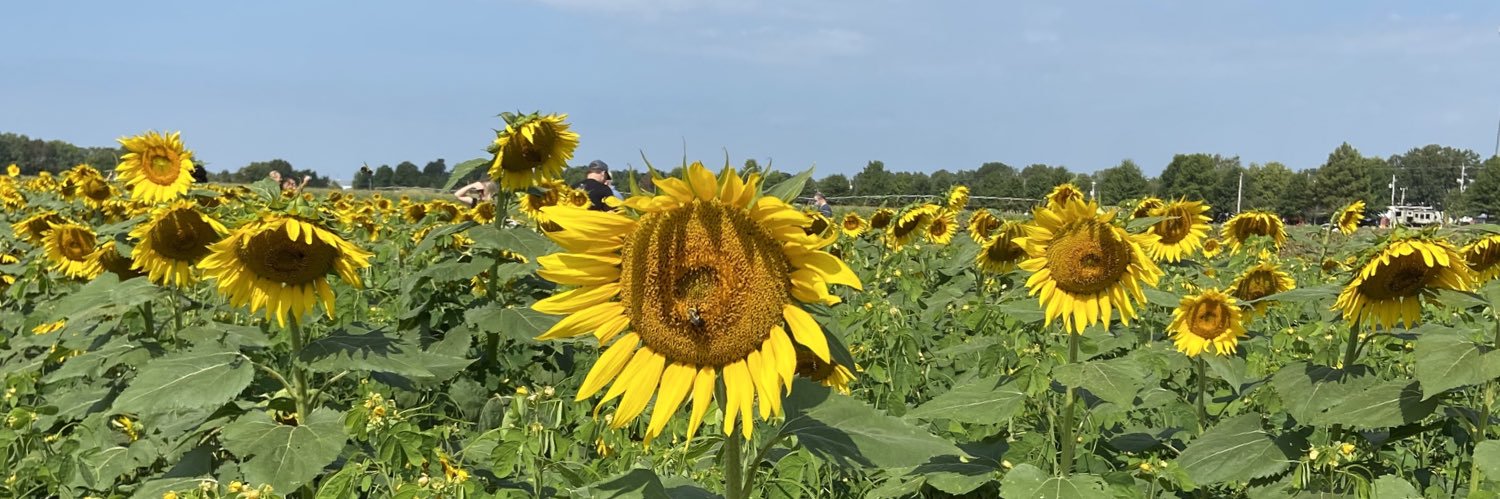 Meghan McDevitt-Murphy banner