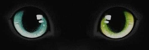 angeevivi's profile banner image