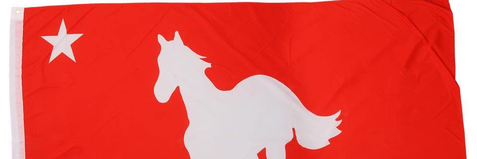 Gary Boy banner