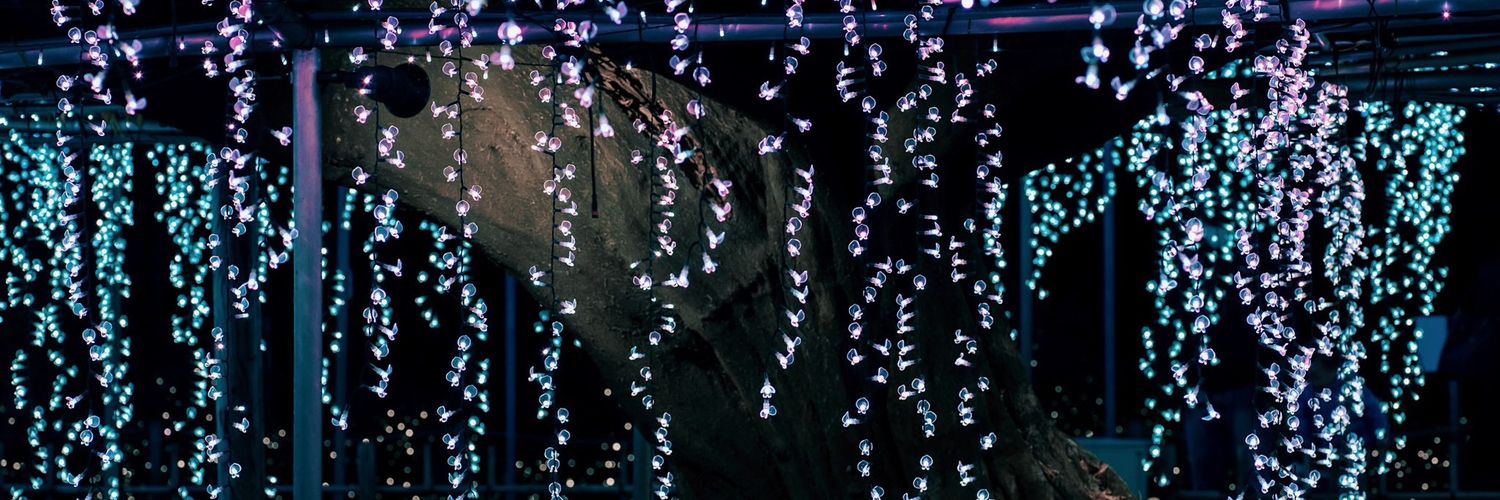 hime🍉🇵🇸 banner