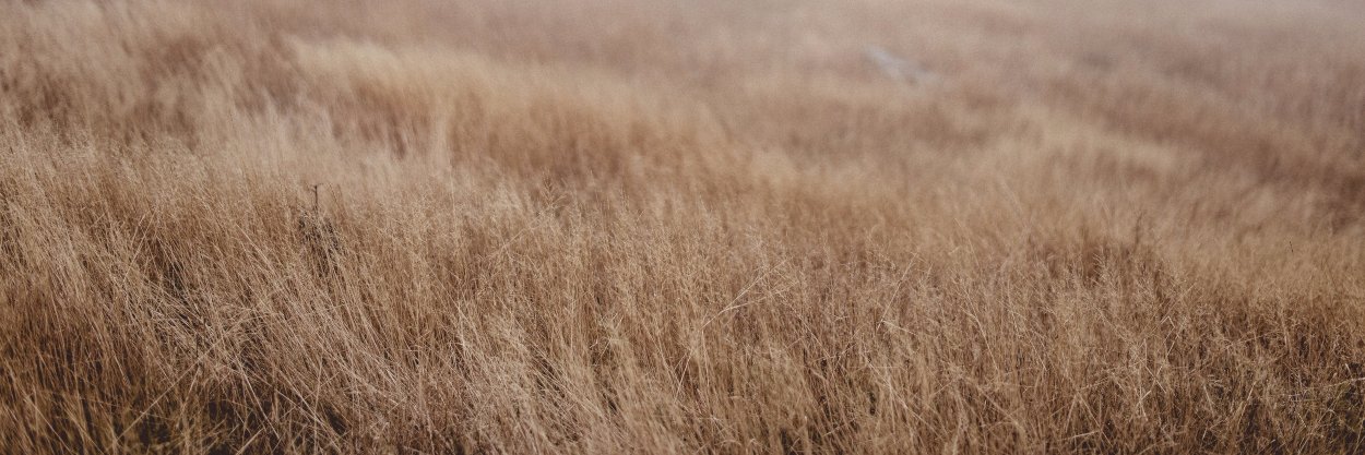 Ellemayleckenby's profile banner image