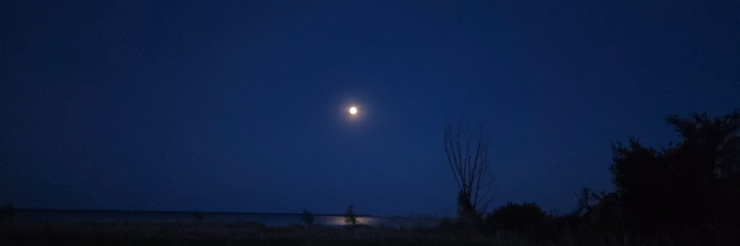 AlizarinScales's profile banner image
