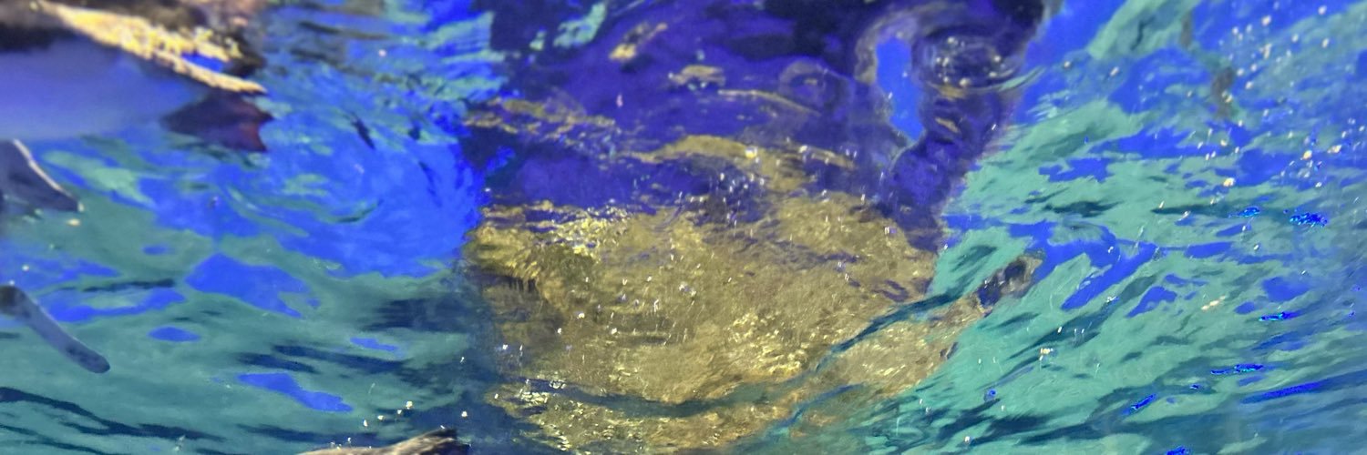 panpharmacist's profile banner image