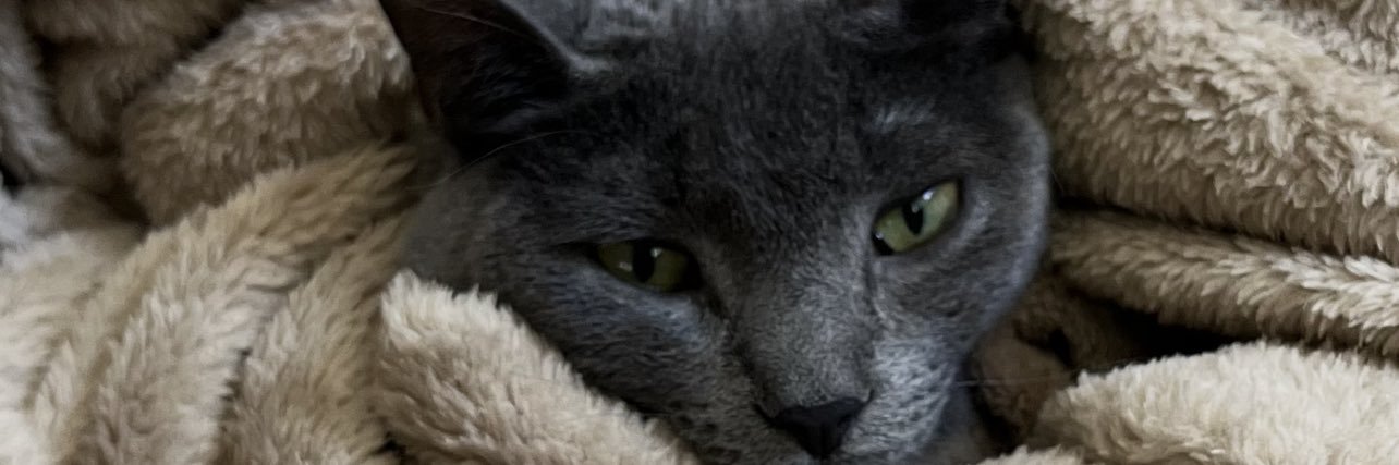 _ThatGirlEmilyy's profile banner image