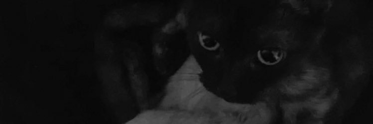 GonzoCastellano's profile banner image