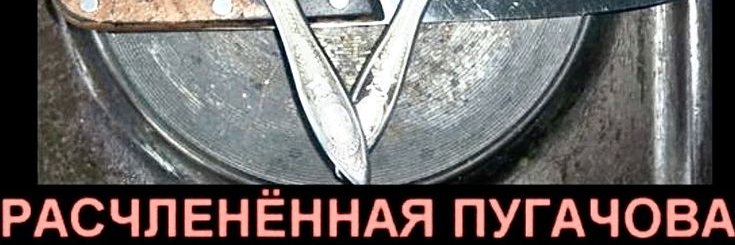 x banner