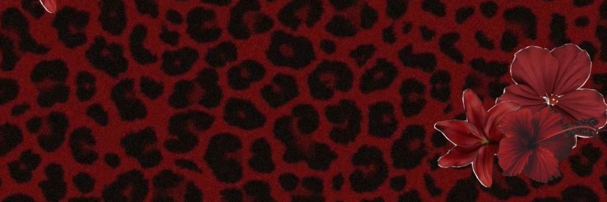 masivamari's profile banner image