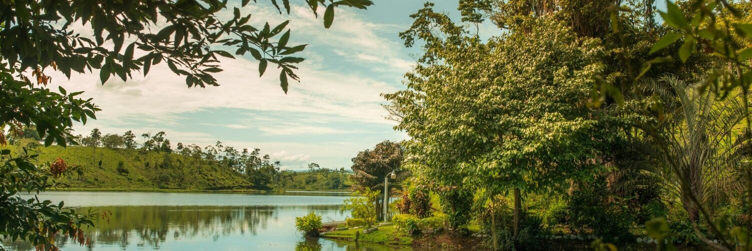 juandiegogp's profile banner image