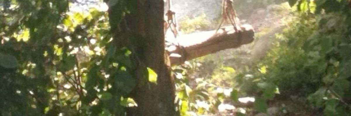 Ghazi banner