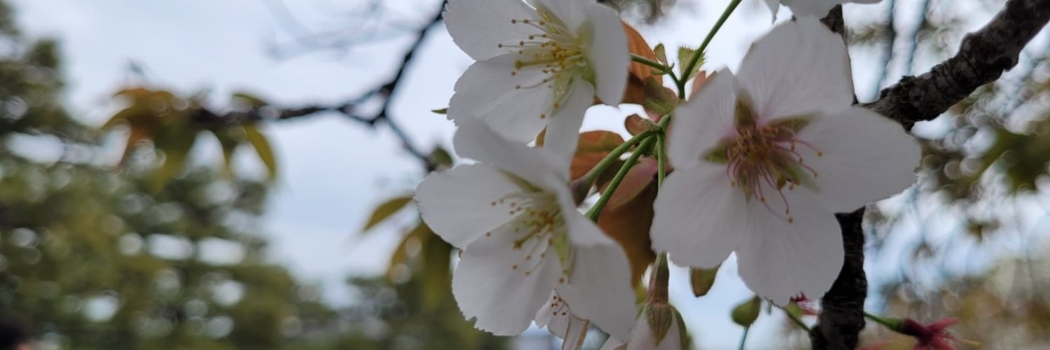 XxZarazxX's profile banner image