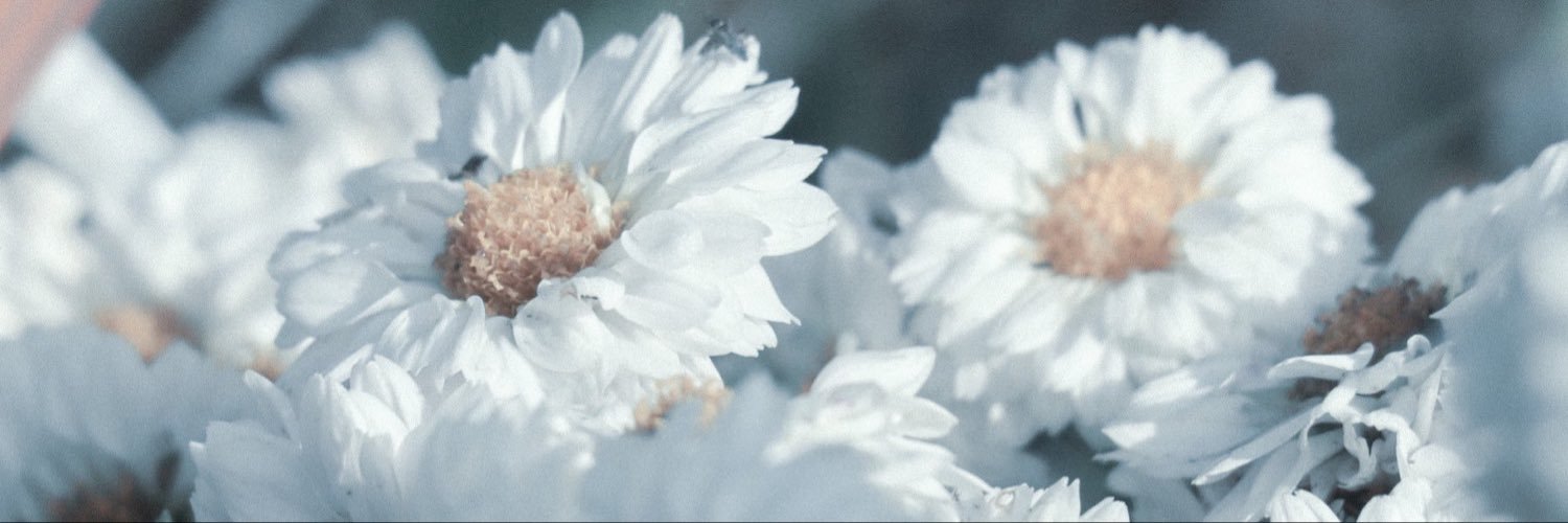prnnoosr's profile banner image