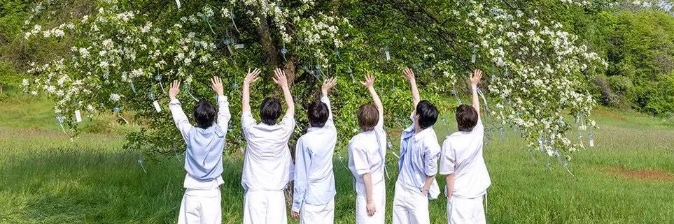 kt_6s2's profile banner image