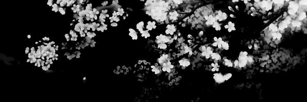 luxGrrr16's profile banner image