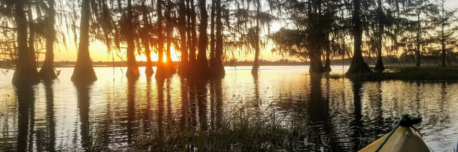SondraKayWhite's profile banner image