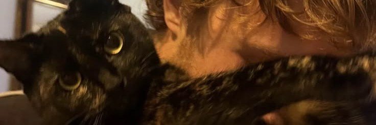 ddisfaccien's profile banner image