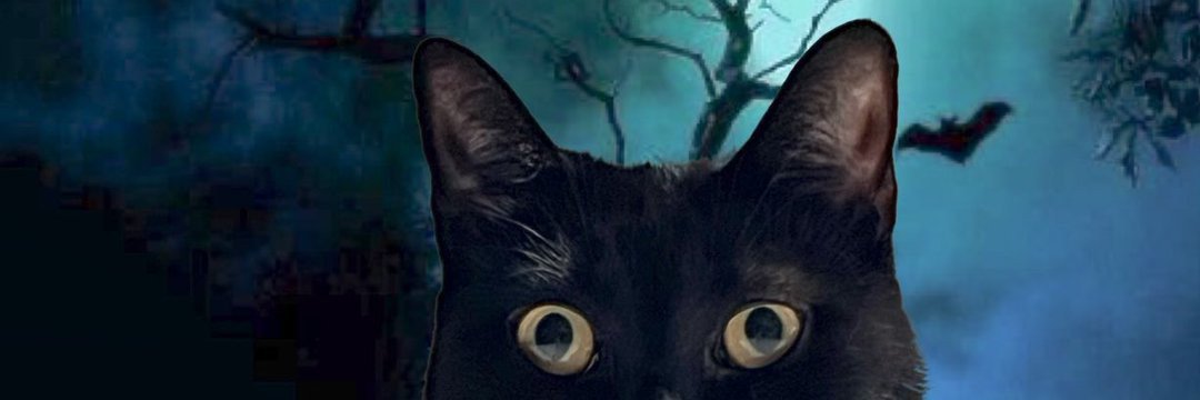 azulaababy's profile banner image