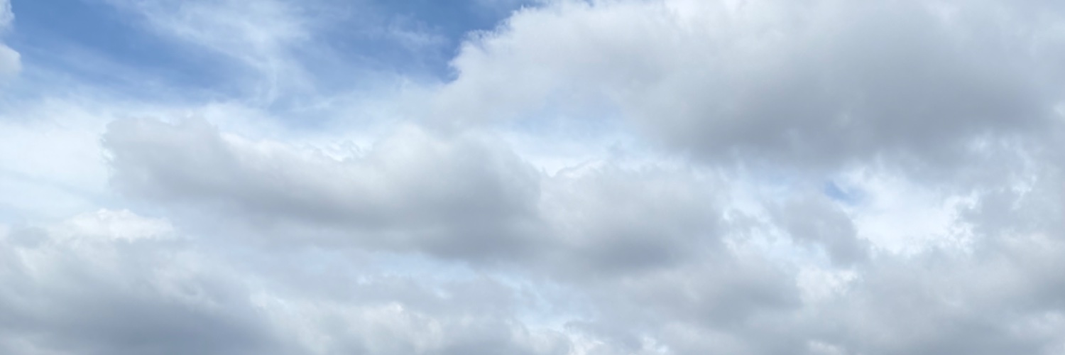 cham0neru's profile banner image