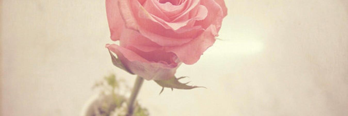 laviniraaa's profile banner image