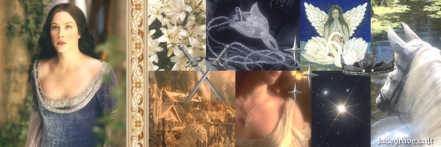 shefaery's profile banner image