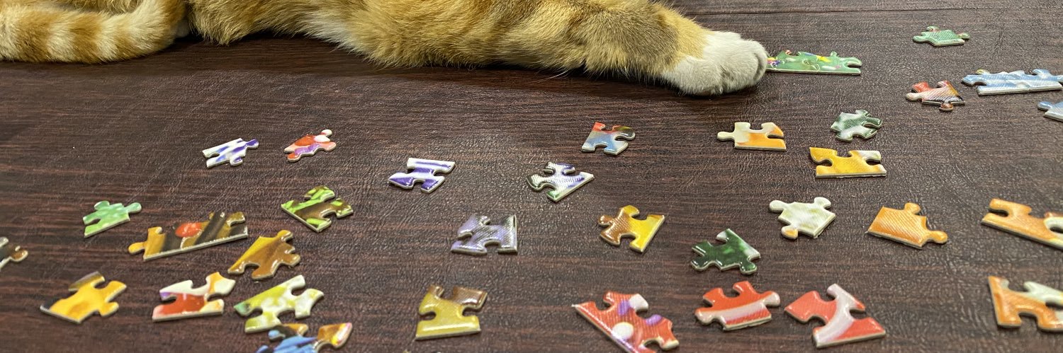 Wendy Brill-Wynkoop banner