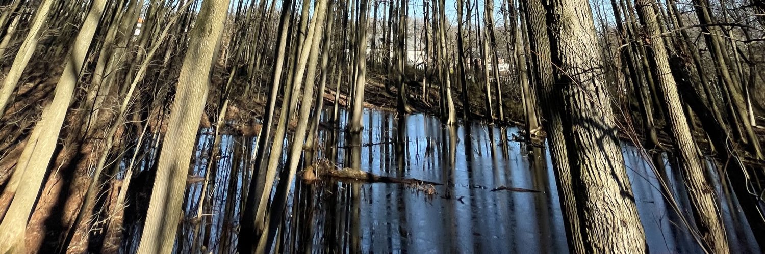 Marguerite M. Rivas banner