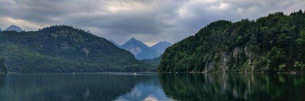 TheRealWebby Profile Banner