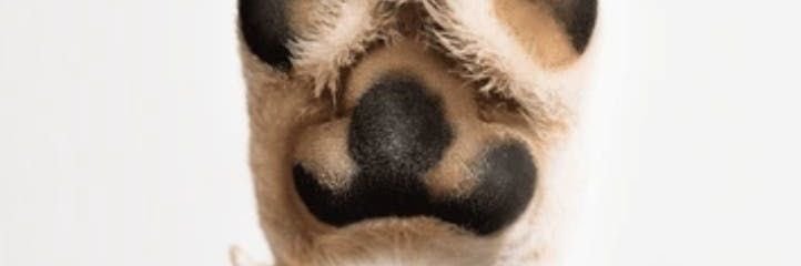Favourkins8's profile banner image