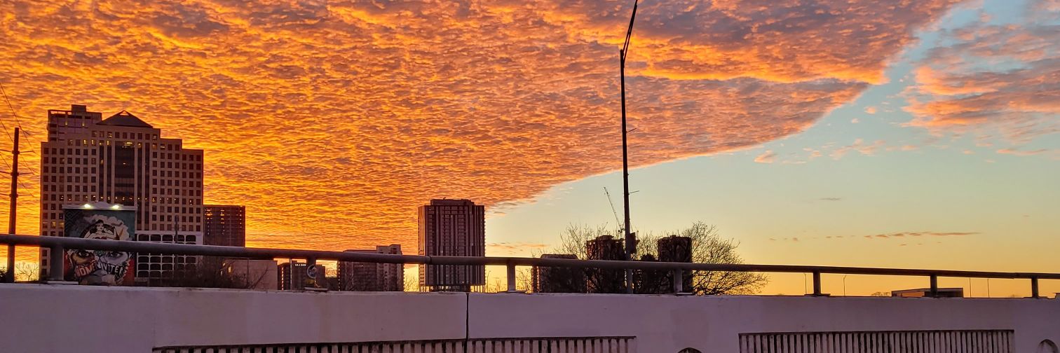 Doctor Jones Doctor Jones banner