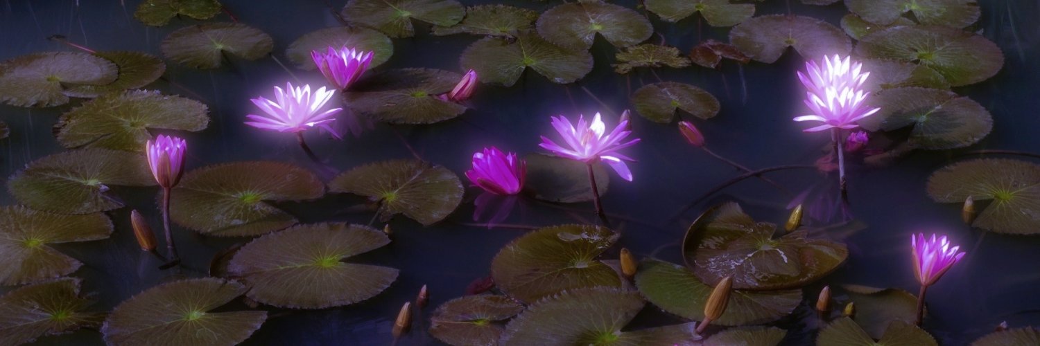 0Xos333's profile banner image