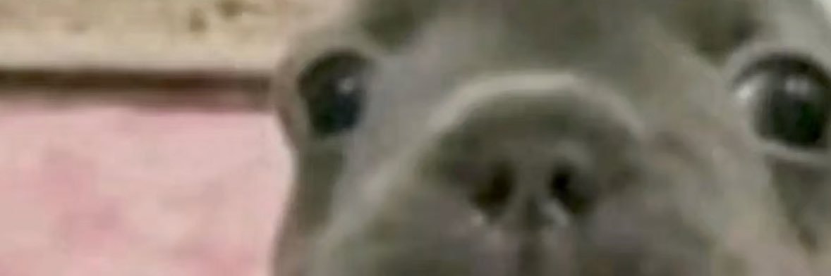 hrnylatinoo0's profile banner image