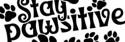 Alice_9z's profile banner image
