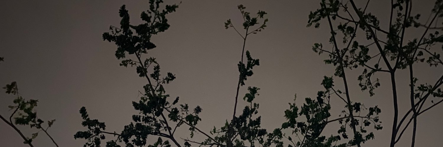 astervalent's profile banner image