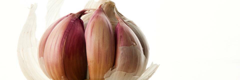 BasWiegel's profile banner image
