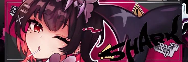 DixieSharkVT's profile banner image