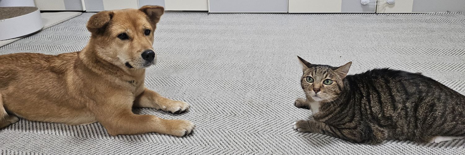 🎗맘씨좋은 🐈김마중씨&🐕 정새별씨 banner